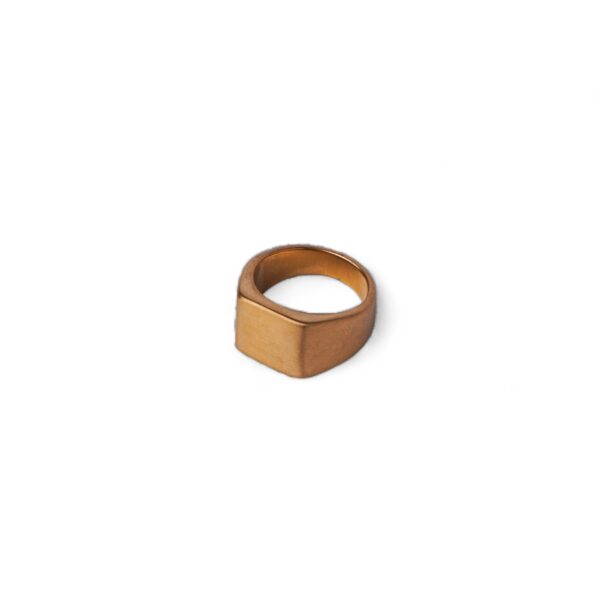 Signet gold ring